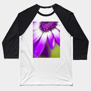 Purple Petals Baseball T-Shirt